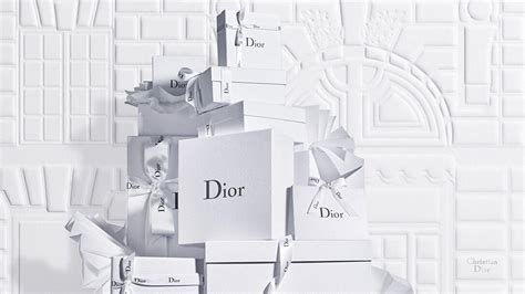 christian dior bordeaux|dior official site.